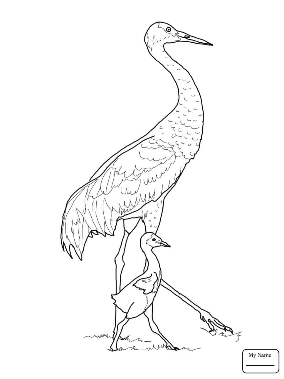 967x1289 Printable Flying Bird Outline Printable