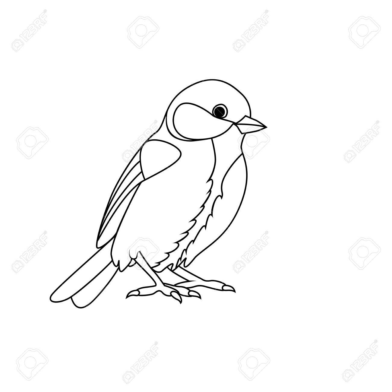 1300x1300 Bird Drawing Stock Photos. Royalty Free Business Images