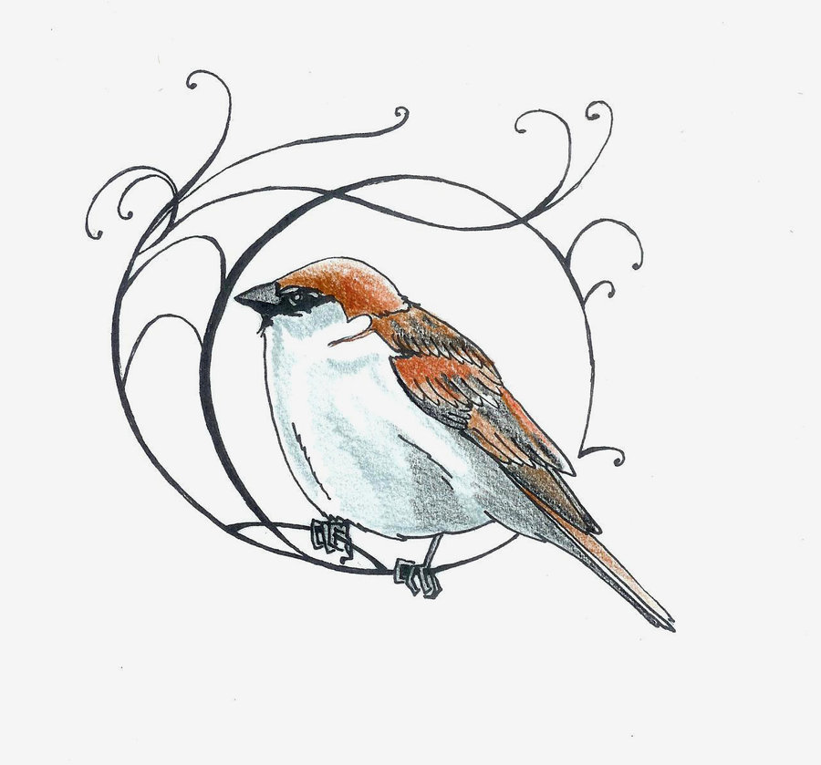 900x839 Little Sparrow By Koshii