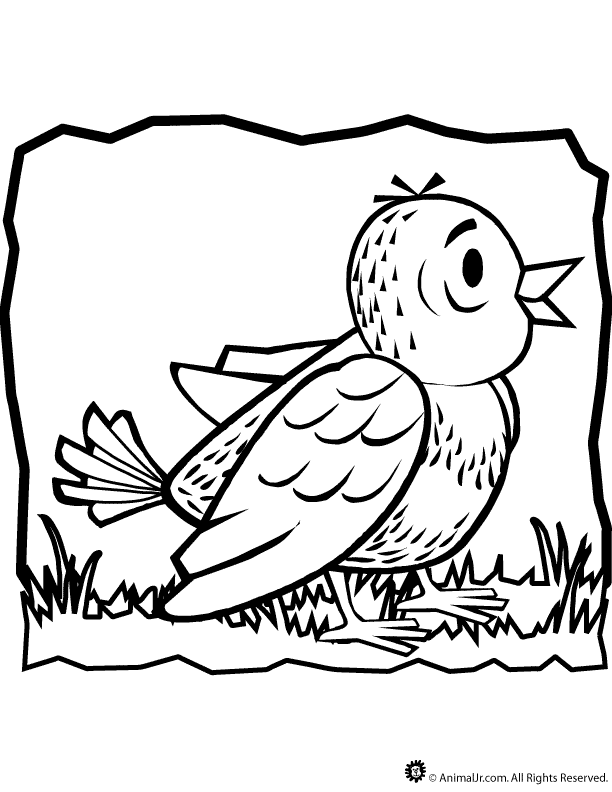 612x792 Sparrow Coloring Page Animal Jr.