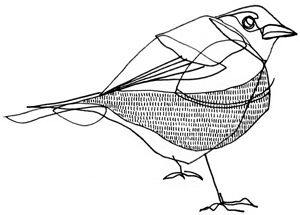 300x215 The Best Bird Line Drawing Ideas On Mixed Media