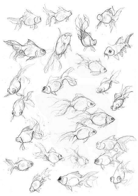 453x640 The Best Of The Fish Studies Character Design References, Design