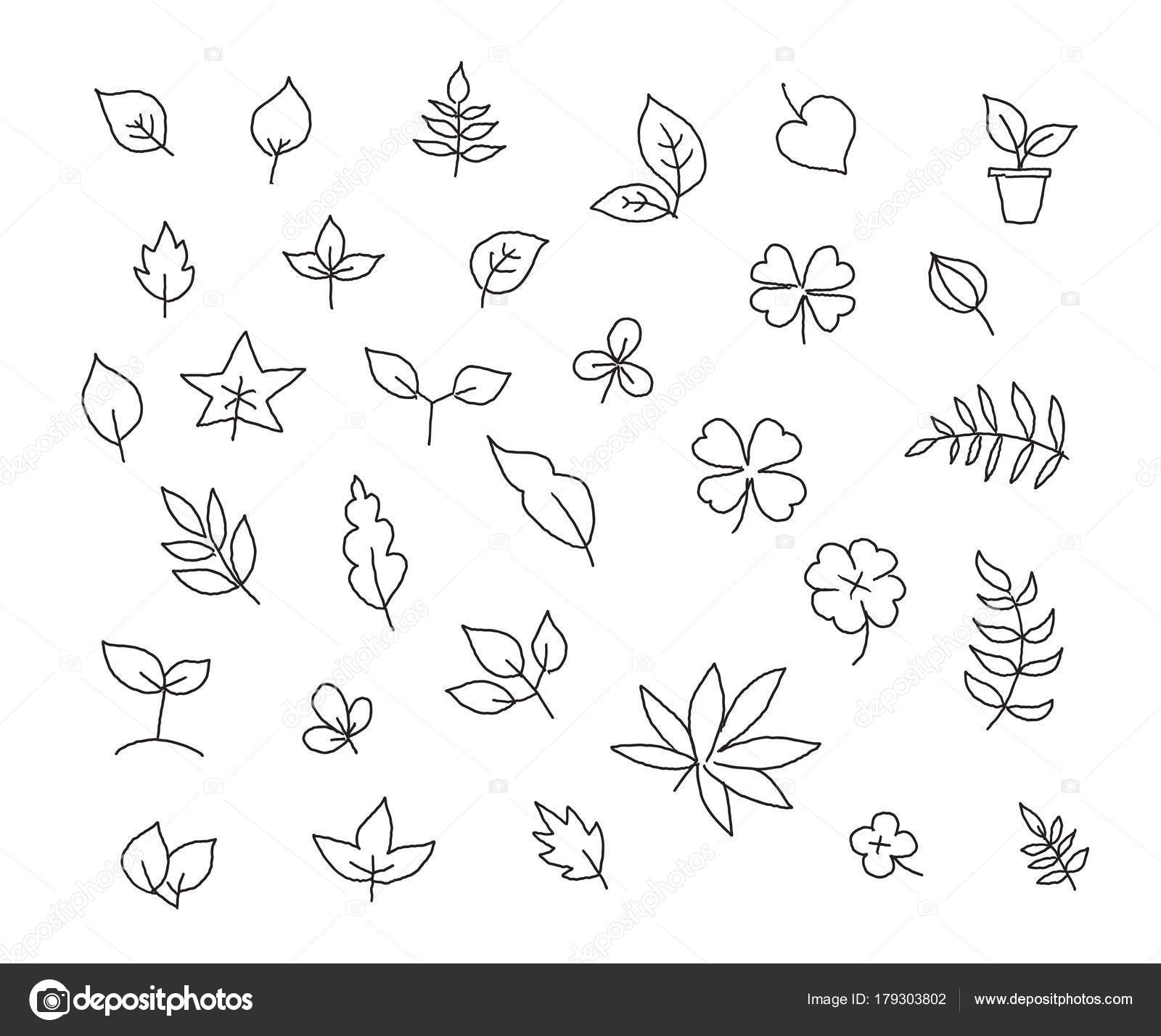 1600x1428 Different Types Of Leaves Set Of Various Species Of Trees