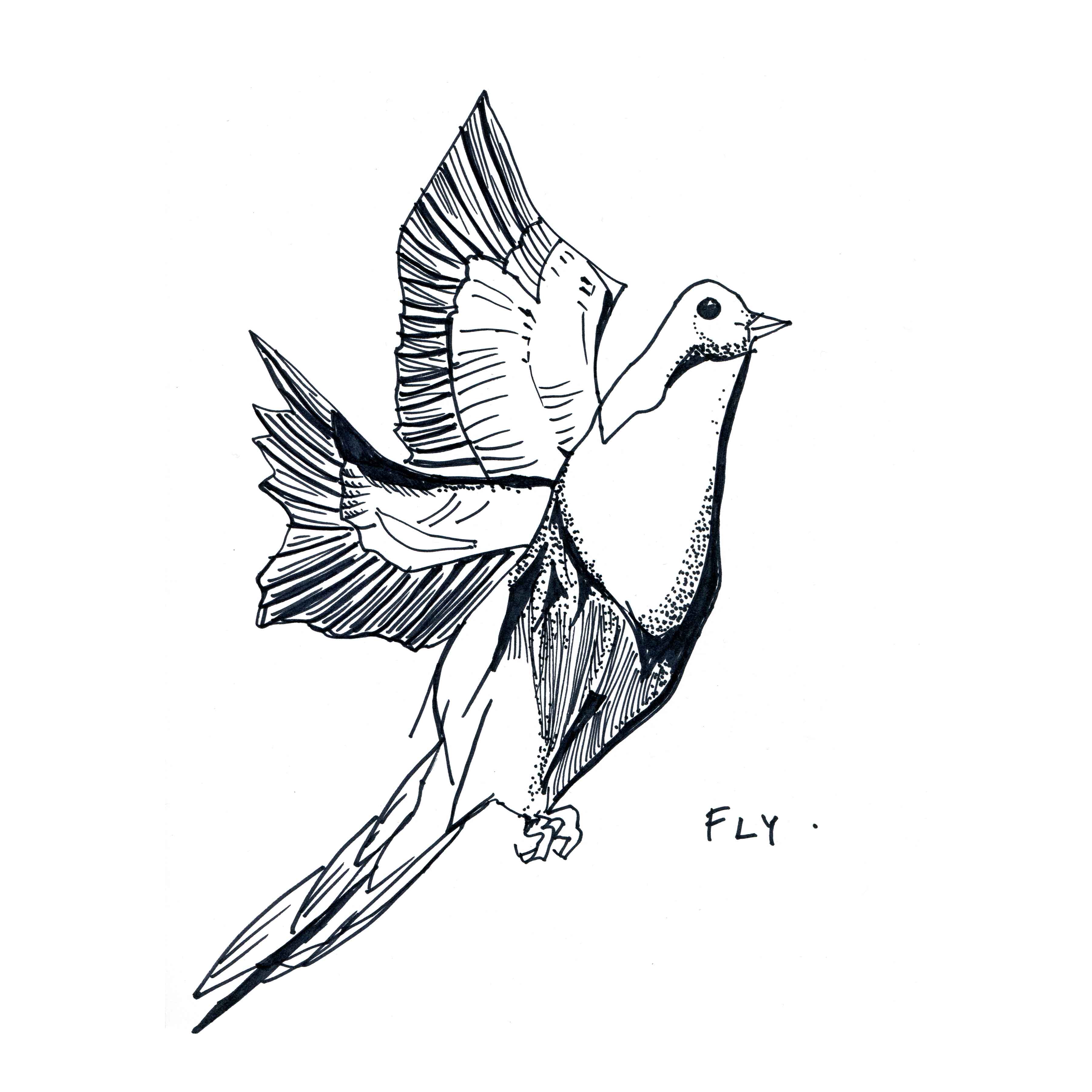 3600x3600 Fly High Speed Drawing Video