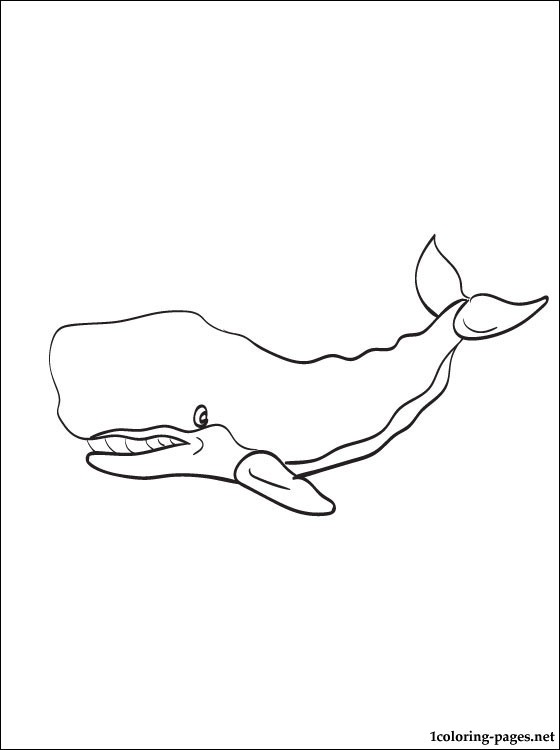 560x750 Sperm Whale Coloring Pages