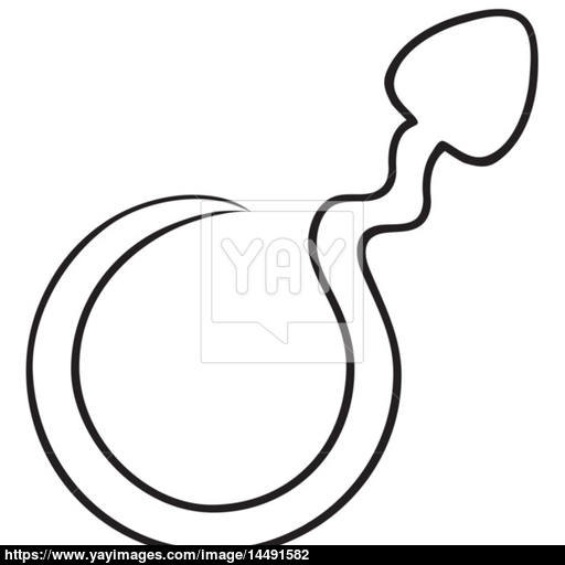 512x512 Sperm Symbol Vector
