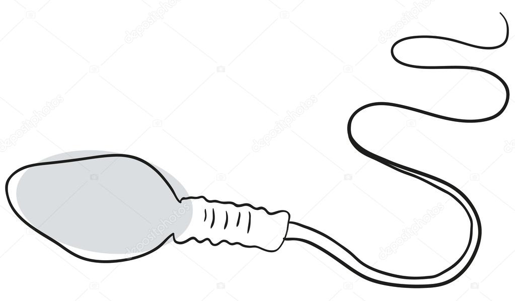 1023x598 The Sperm Stock Vector Penguinn