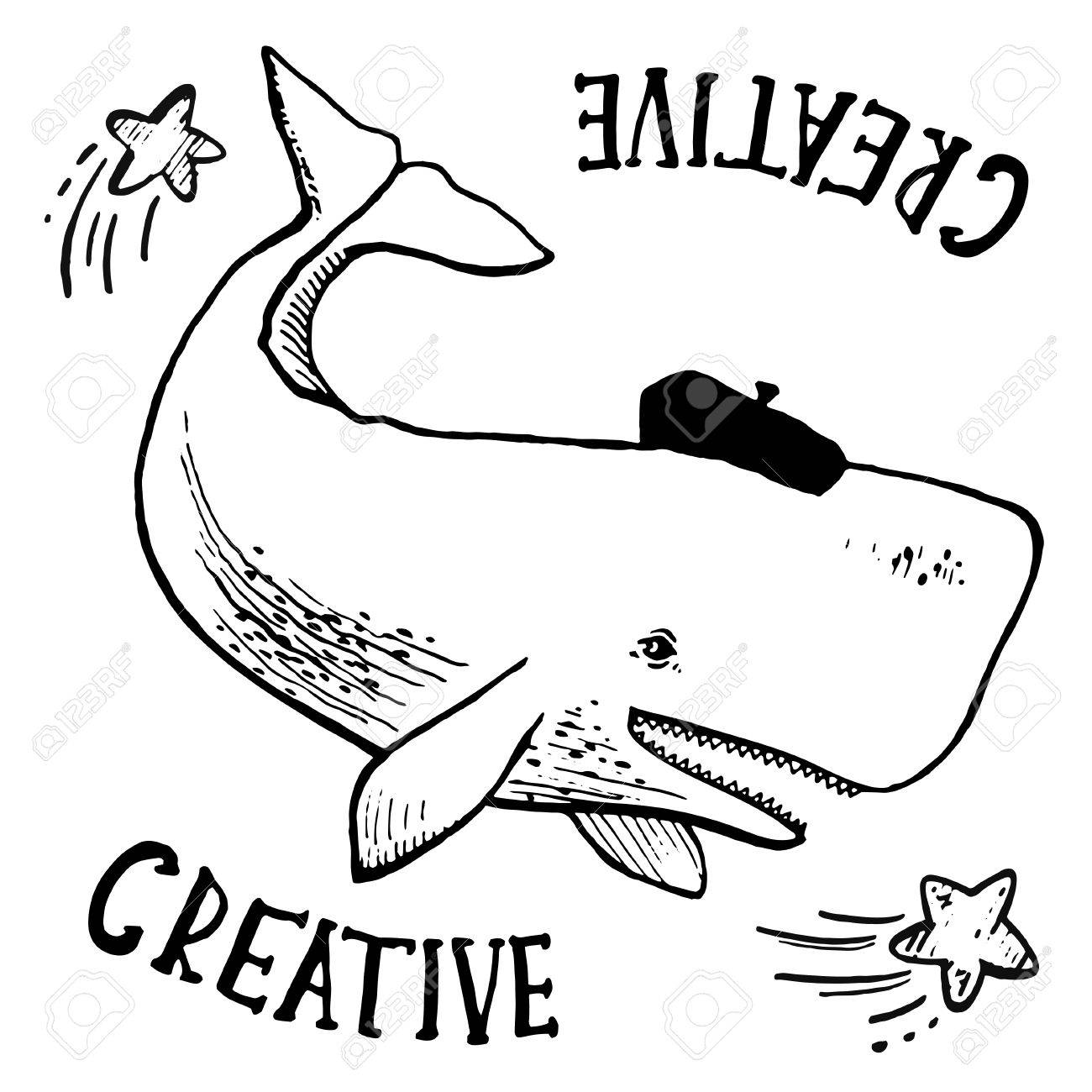 1300x1300 White Sperm Whale, Hand Drawn Vector Illustration. Royalty Free