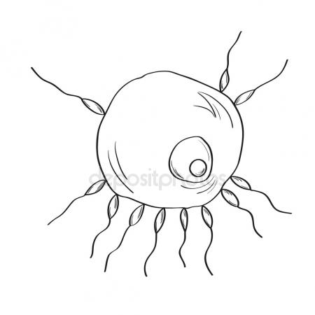 450x450 Sperm And Egg Cell Hand Drawing Stock Vector Blotty