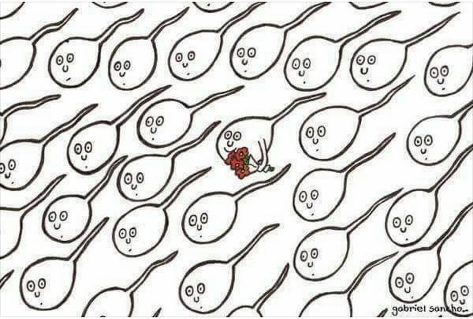 960x647 Sperm Anime Gifgifmagazine