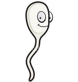 The best free Sperm drawing images. Download from 151 free drawings of ...