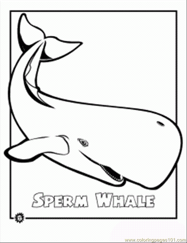 650x844 Ndangered Sperm Whale 231x300 Coloring Page