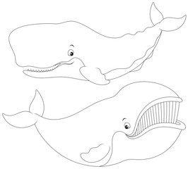 266x240 Search Photos Sperm Whale