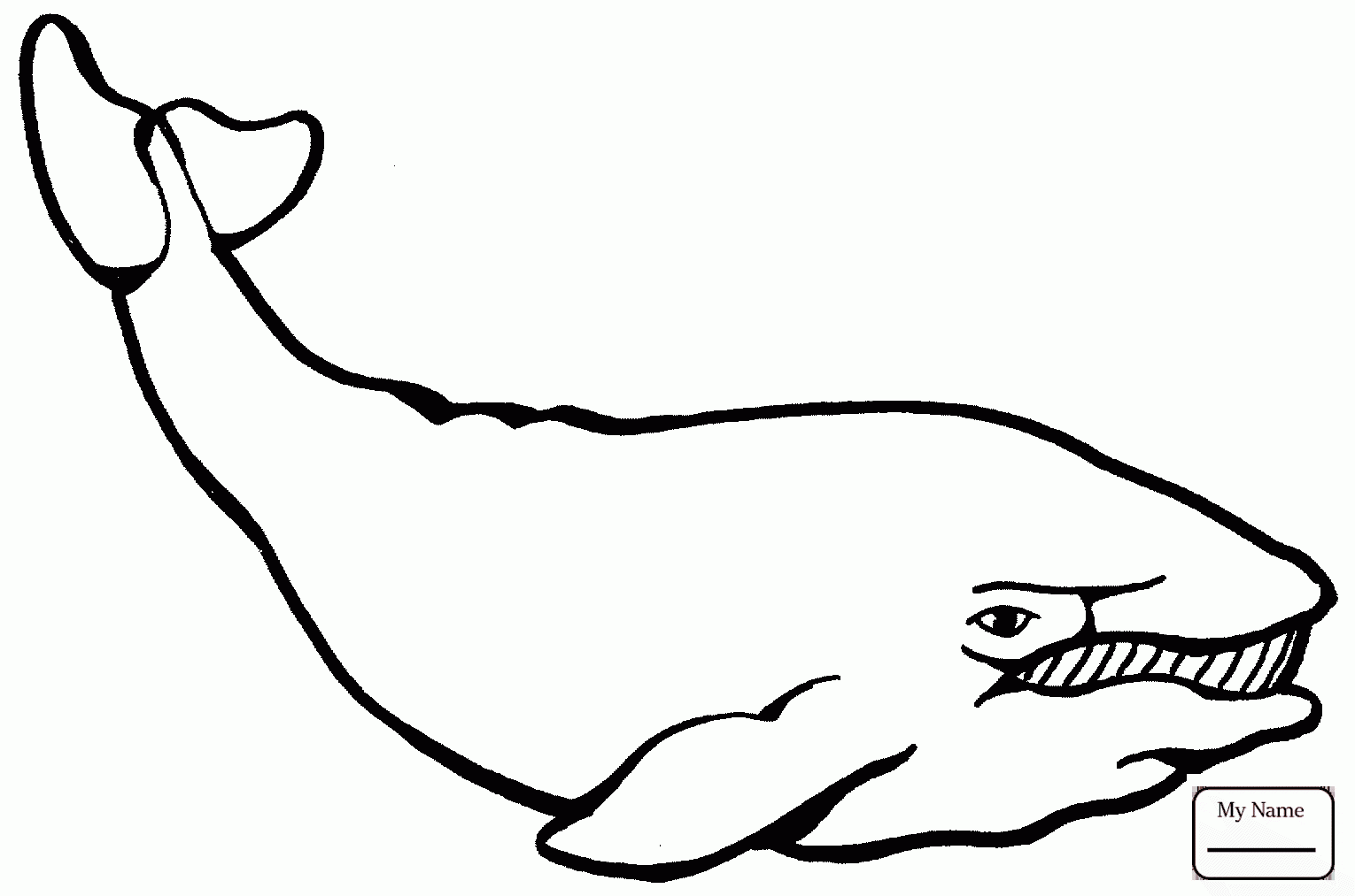 1530x1013 Cartoon Whale