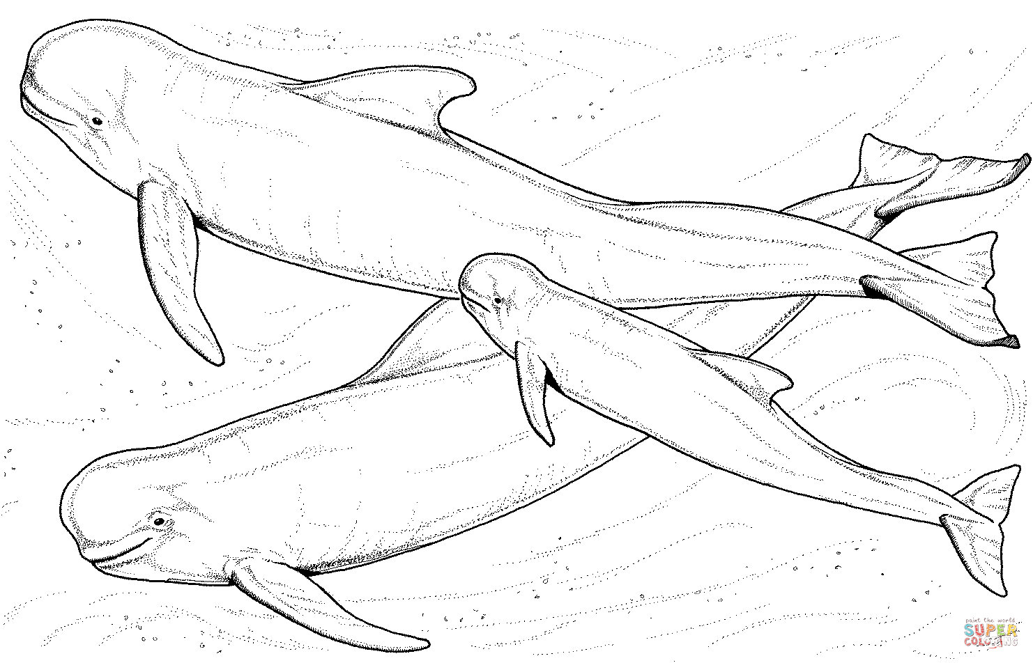1482x952 Coloring Pages Extraordinary Coloring Pages Whales Two Big