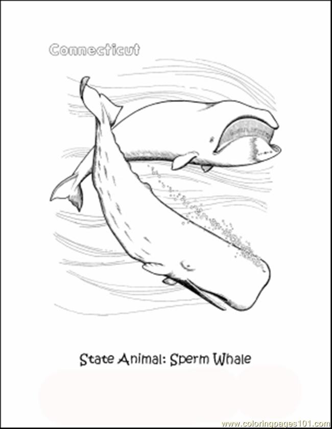 650x840 Conncolor3 Coloring Page