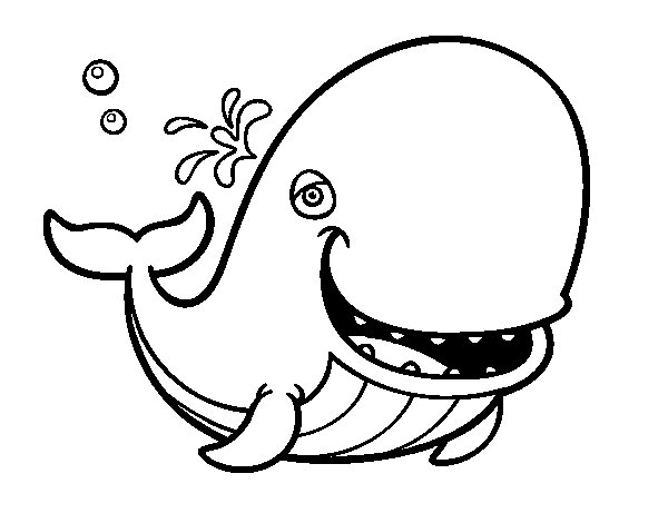 600x470 Sperm Whale Coloring Page