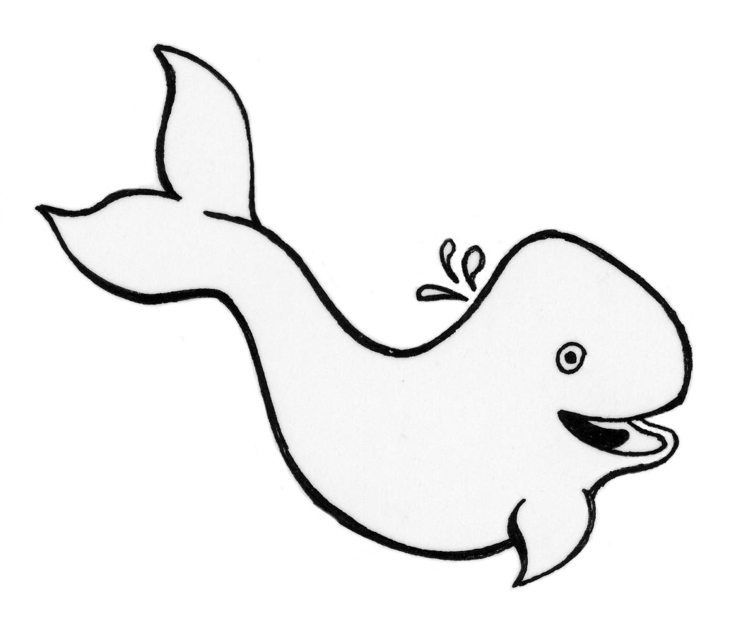 1040x879 Whale Drawings