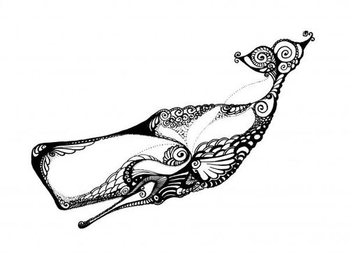 500x363 Whale Tailsss Style Mom Whale Drawing