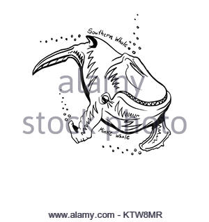 300x320 Cartoon Whale Line Drawing Vector Illustration Stock Vector Art