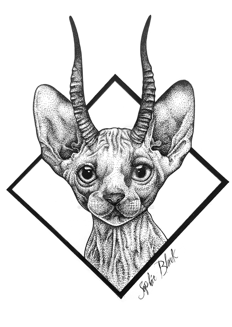 800x1123 Sphynx Cat Demon By Sophieblack Art