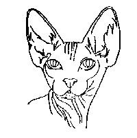 200x201 Acatranch Home Page Breed Infomation Sphynx