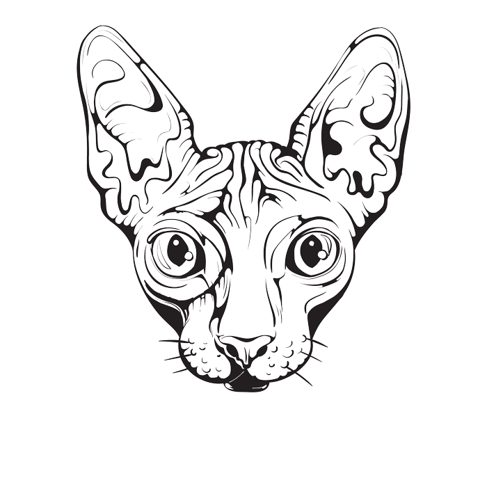 700x700 Sphynx Cats On Behance