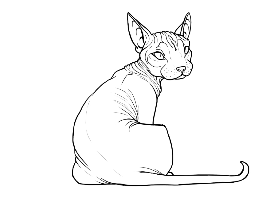 866x684 Sphynx Lineart By Basiliskzero