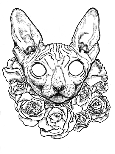 386x516 Sphynx Nefaely