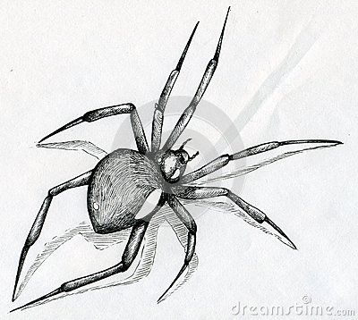 Scary Spider Drawing at GetDrawings | Free download