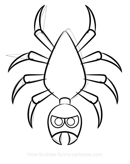450x569 Spider Drawing (Sketching + Vector)