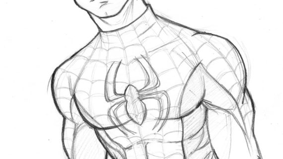 570x320 A Drawing Of Spiderman How To Draw Spider Man In Fine Art Style