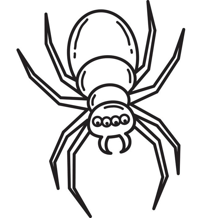 650x700 Spider Shape Template