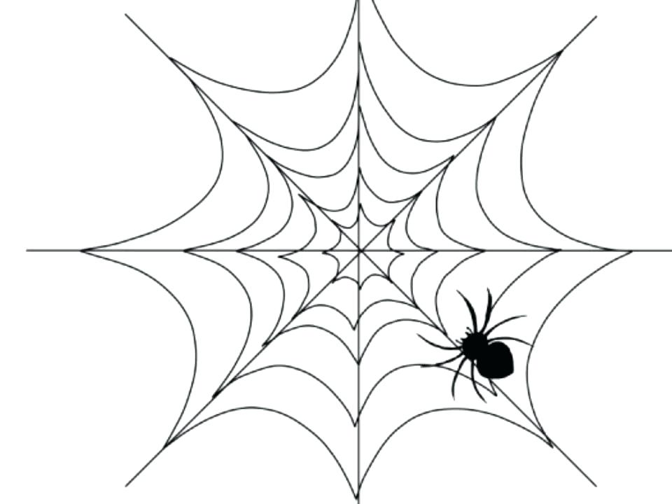 960x720 How To Draw A Spider Web Abundantlifestyle.club