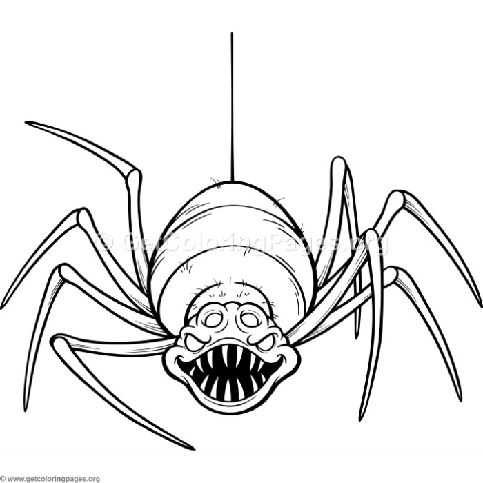 700x700 Scary Spider Coloring Pages