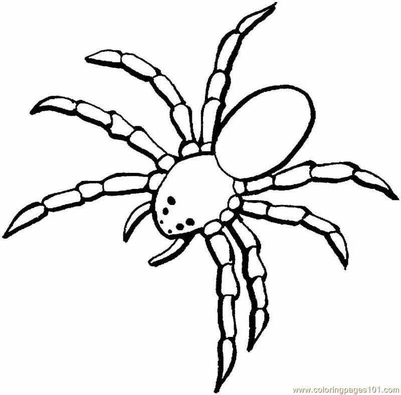 800x788 Arachnids Coloring Page