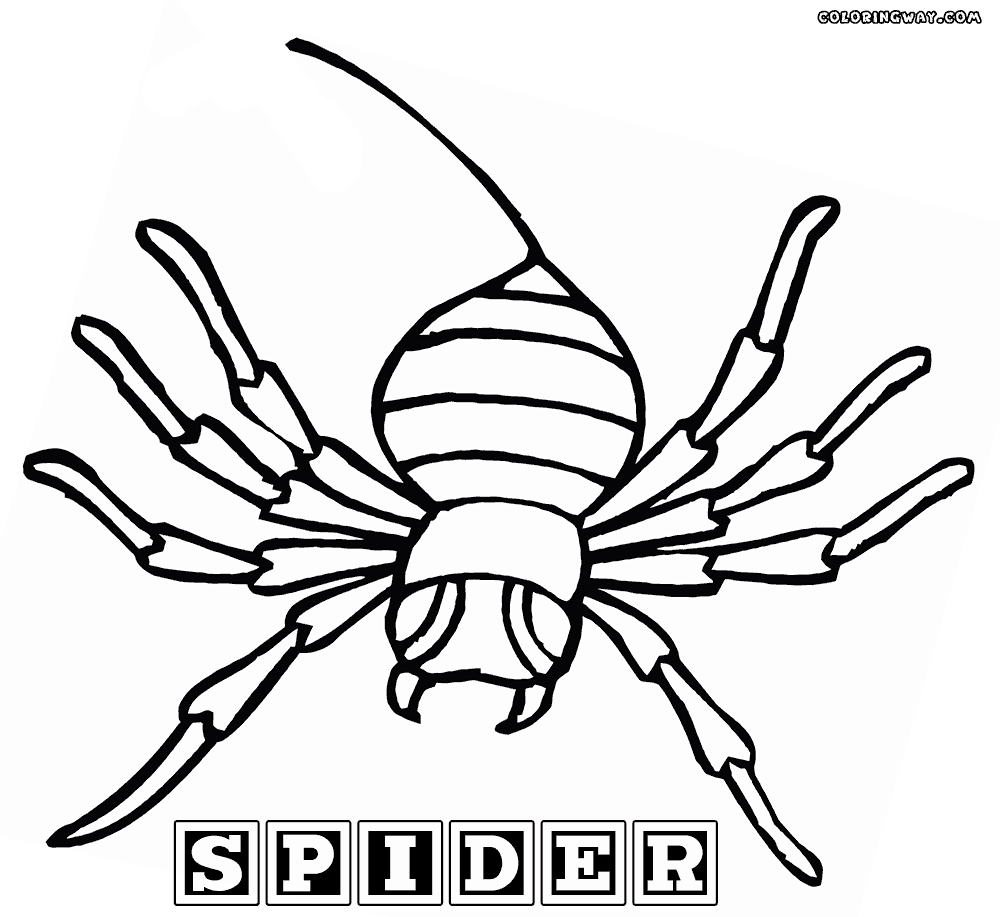 1000x917 Spider Coloring Pages Coloring Pages To Download And Print