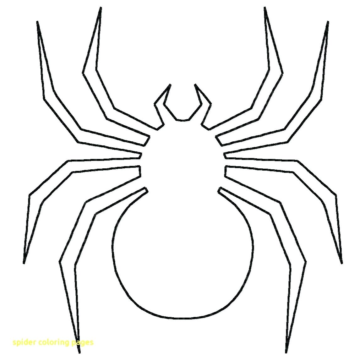1146x1146 Coloring Halloween Spider Coloring Pages