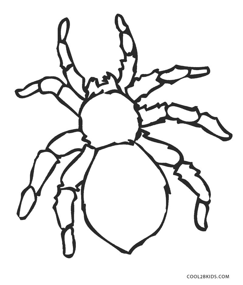 800x939 Free Printable Spider Coloring Pages For Kids Cool2bkids