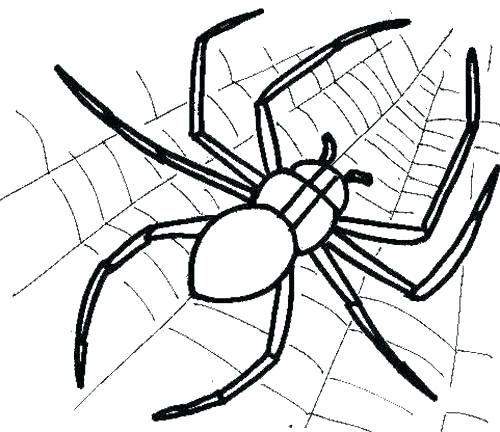500x432 Lovely Itsy Bitsy Spider Coloring Pages Kids B Page Web And Col