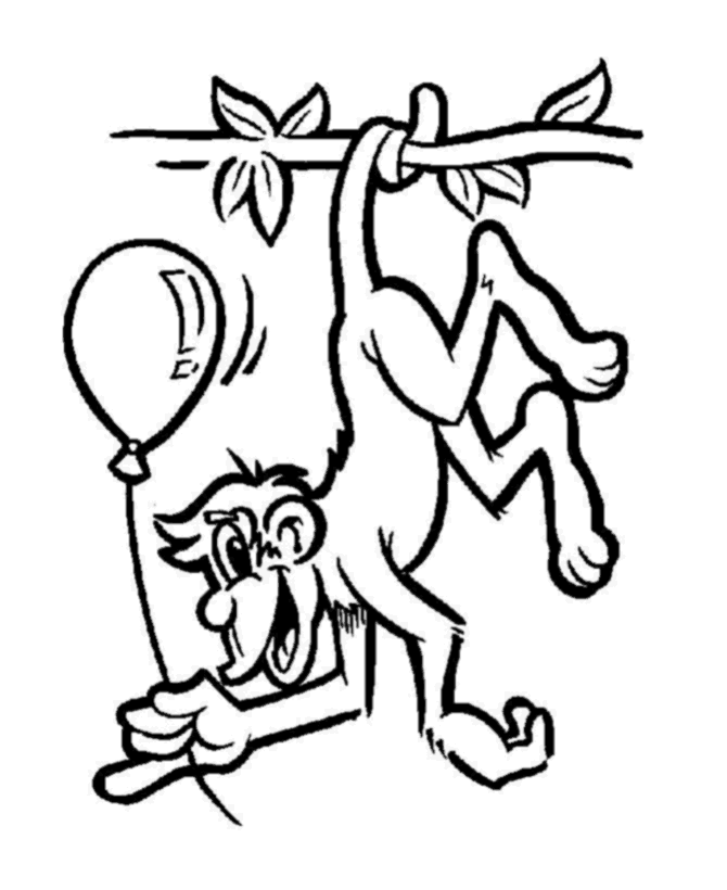 670x820 Spider Monkey Clipart Coloring Book