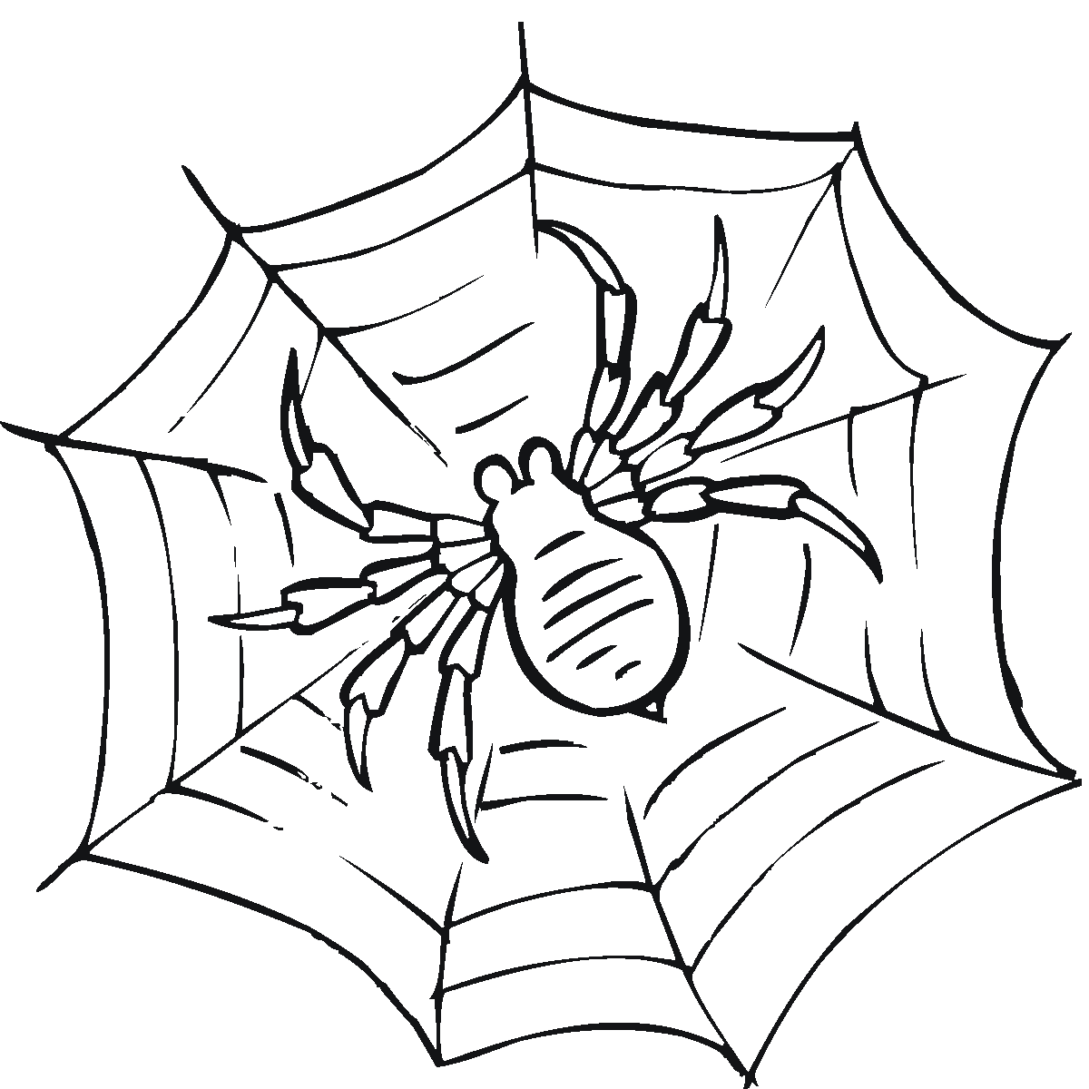 1200x1200 Web Coloring Page Spider Webs