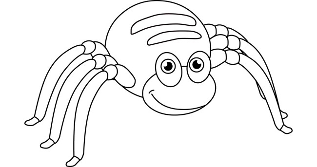 650x343 Spider Shape Template