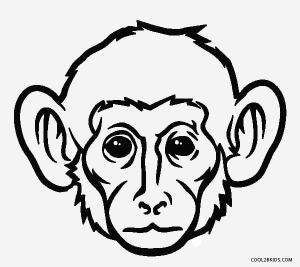 600x534 Free Printable Monkey Coloring Pages For Kids Cool2bkids