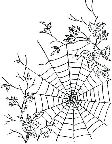 389x500 How To Draw A Spider Web You Are Here Draw Spider Web