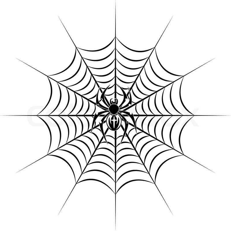 800x800 Tribal Spider Web Tattoo Spider Web Tattoo Vector