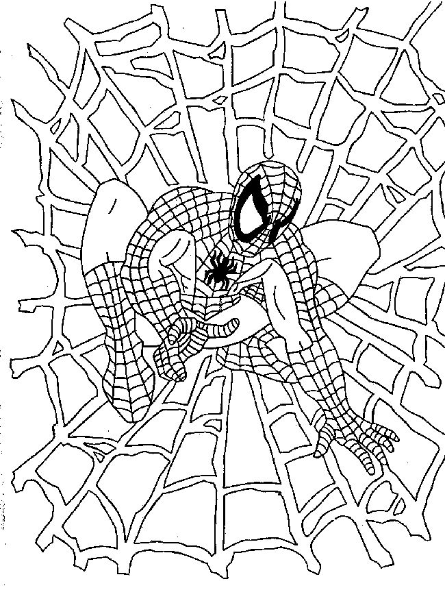 650x861 Lovely Spider Man Coloring 87 About Remodel Line Drawings