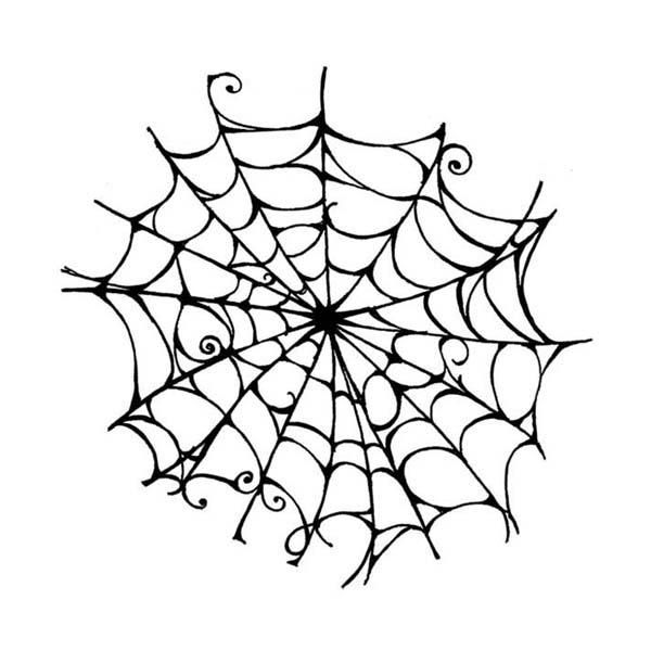 600x600 Drawn Spider Fancy