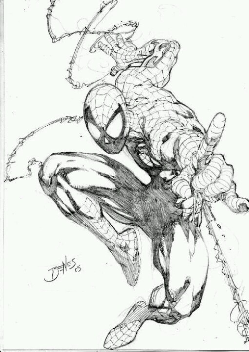 511x720 24 Best Spider Man Drawings Images On Spiders