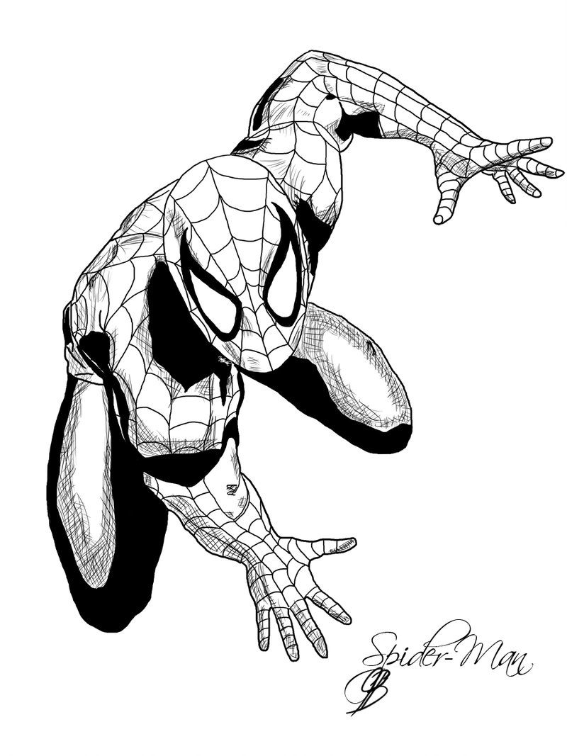 800x1067 Spider Man Ink. By Lillithsbernard